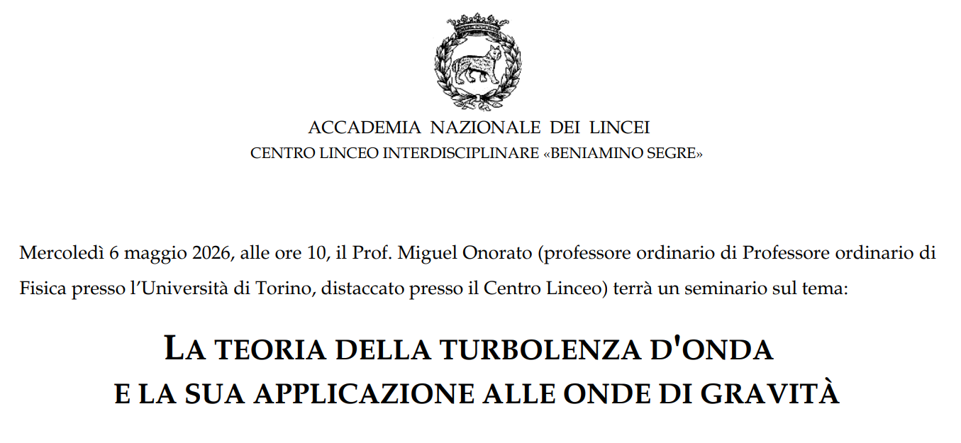 La teoria della turbolenza d'onda | miguel onorato